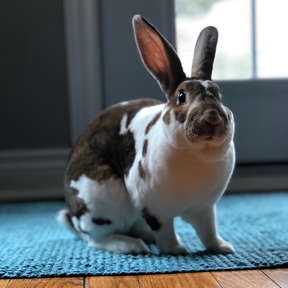 Meet your Posher, Om - Picture 1 of 1